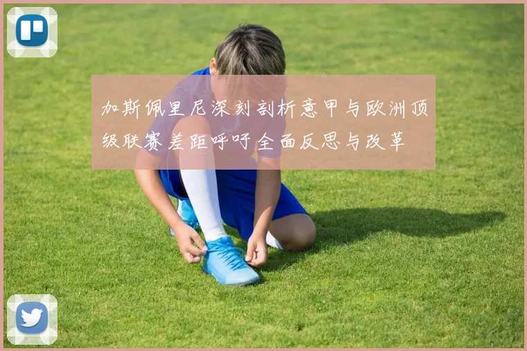 加斯佩里尼深刻剖析意甲与欧洲顶级联赛差距呼吁全面反思与改革