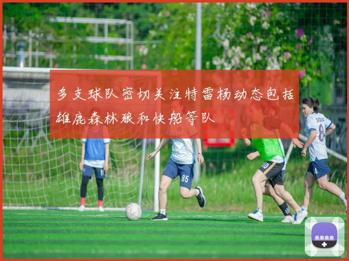多支球队密切关注特雷杨动态包括雄鹿森林狼和快船等队